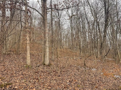 Lot 1 State Fork Rd, Metz, WV 26585 - photo 6