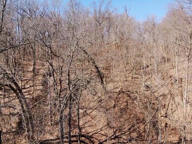 Lot 10 Triple Oak Dr NE, Vergennes Township, MI 49331 - photo 5