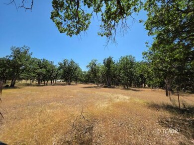 480 Oliva Dr, Hayfork, CA 96041 - photo 5