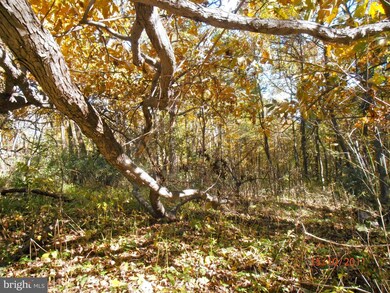 18 Axton Ln, Linden, VA 22642 - photo 3