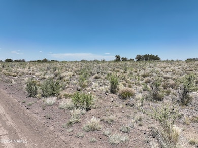 DJI_20240615122536_0039_V
