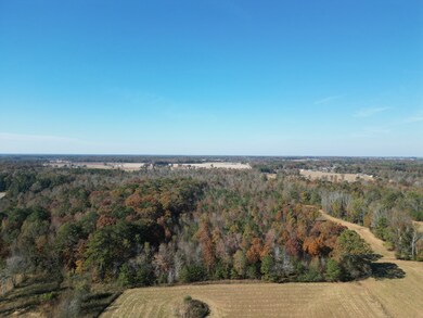 0 Lambert Rd unit RTC2590137, Elkmont, AL 35620 - photo 3