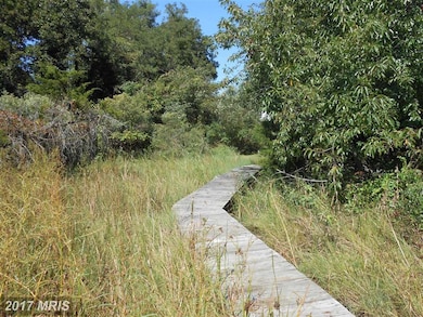 23992 N Patuxent Beach Rd, California, MD 20619 - photo 3