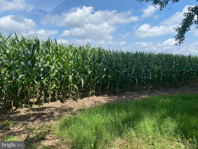 22365 Bunting Rd, Georgetown, DE 19947 - photo 6
