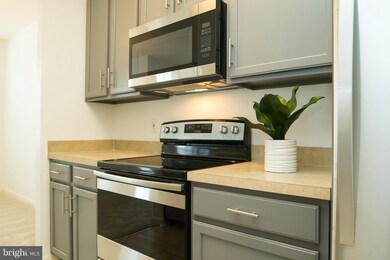 2157 Scotts Crossing Ct unit 204, Annapolis, MD 21401 - photo 6