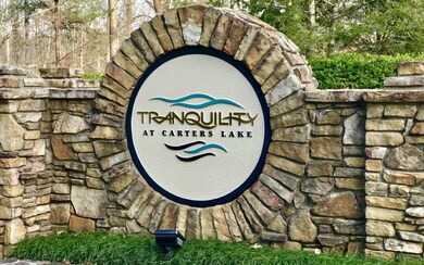 LT48 N Harris Creek Dr, Ellijay, GA 30540 - photo 3