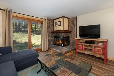 40 40 Gcr 702 unit 1-101, Winter Park, CO 80482 - photo 2