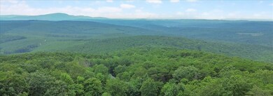 00 Elk Ct, Jasper, GA 30143 - photo 7