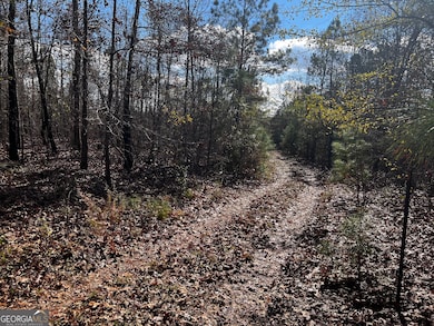 8 & 9 Lassiter Rd, Forsyth, GA 31029 - photo 7