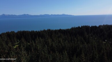DJI_0891