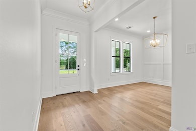 9053 Hillon Hood Rd, Denham Springs, LA 70726 - photo 4