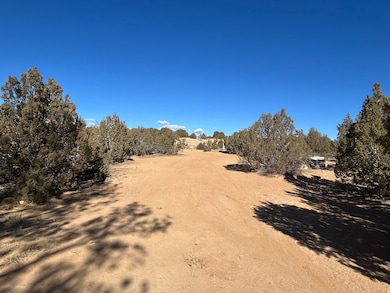 3390 W 5000 N, Roosevelt, UT 84066 - photo 5