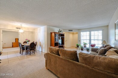 10717 W Santa fe Dr, Sun City, AZ 85351 - photo 3