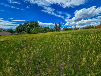 Tbd High St, La Veta, CO 81055 - photo 4