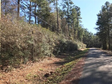 TBD Dan Cir, Magnolia, TX 77355 - photo 5