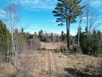 DJI_0853
