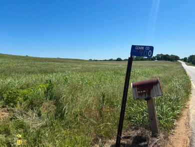 Tbd U S 160, Theodosia, MO 65761 - photo 7