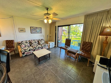 1000 Kamehameha V Hwy unit A203, Kaunakakai, HI 96748 - photo 4