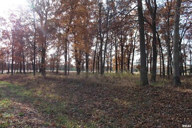 000 Birdie Dr, Mount Vernon, IL 62864 - photo 6