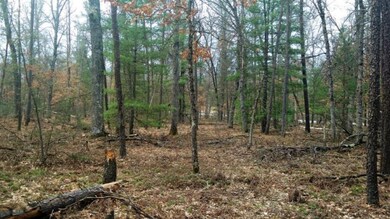 VL Par A S Peacock Trail, Baldwin, MI 49304 - photo 3
