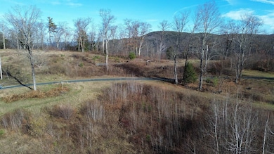 00 Barber Ln, Hartland, VT 05048 - photo 2