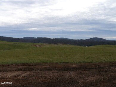 Lot 53 Schertz Ln, Rutledge, TN 37861 - photo 4