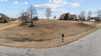 5-web-or-mls-DJI_20250310120054_0387_D