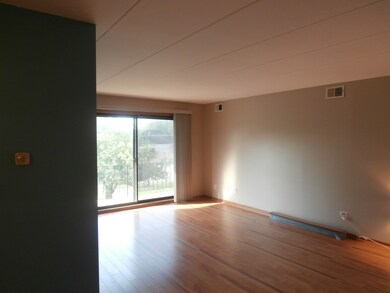 11045 S Theresa Cir unit 2A, Palos Hills, IL 60465 - photo 5