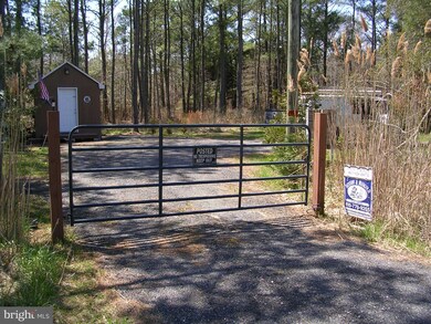 0 Toddville Rd unit 1000401642, Toddville, MD 21672 - photo 3