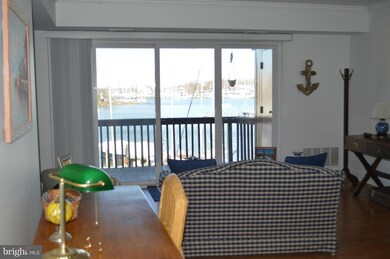 768 Fairview Ave unit 768 E, Annapolis, MD 21403 - photo 6