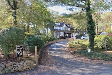 The driveway leading to