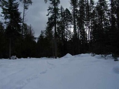 182 Shady Ln, Cusick, WA 99119 - photo 4