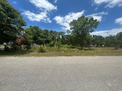 unlisted-address, Okeechobee, FL 34972 - photo 4