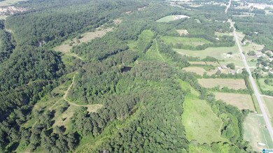 0 U S 231 unit 21390285, Oneonta, AL 35121 - photo 4