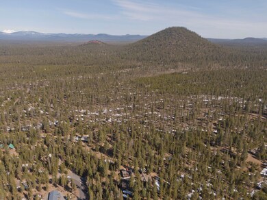YellowPine_10