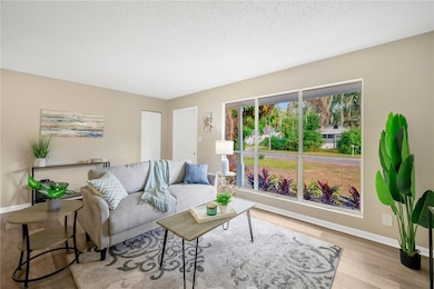 2503 Elm St, Seffner, FL 33584 - photo 4