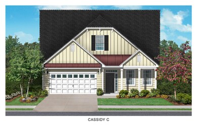 Cassidy-C