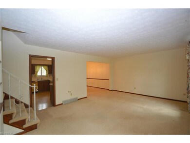 Spacious living room