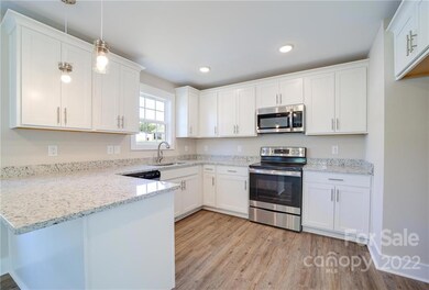 1007 Brown Summit Ave, Statesville, NC 28677 - photo 6