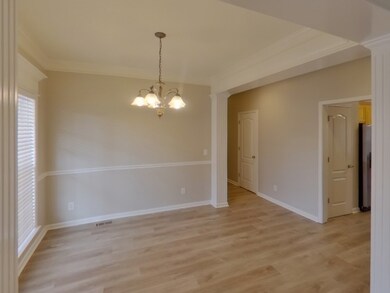 746 Sergio Ave, Murfreesboro, TN 37128 - photo 4