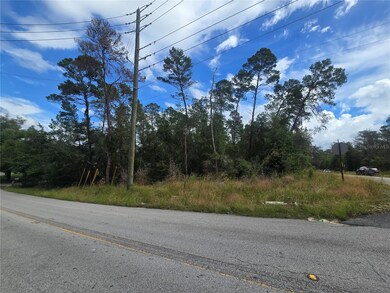 3008 Clearwood St, Inverness, FL 34452 - photo 6