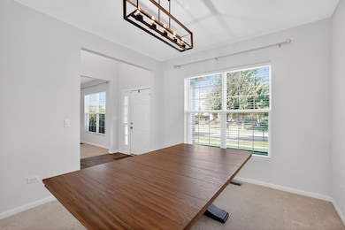 232 Julep Ave, Oswego, IL 60543 - photo 7