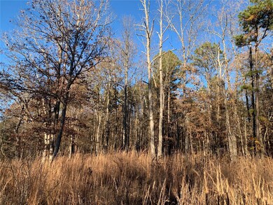 0 S27 T25 R4 unit 19084386, Poplar Bluff, MO 63901 - photo 6