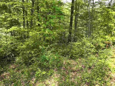 4859 S 500 W, Wabash, IN 46992 - photo 7