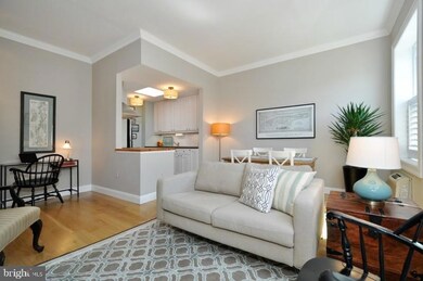 519 Trinity Place unit 2AS, Westfield, NJ 07090 - photo 5