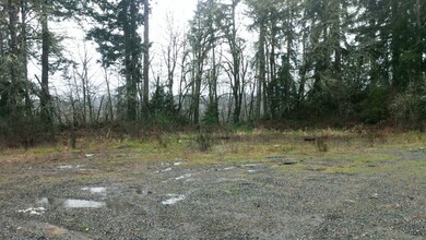 0 State Route 505 unit 753355, Toledo, WA 98591 - photo 4