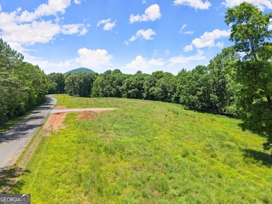 0 Arthur Allen Rd unit 10646088, Cleveland, GA 30528 - photo 6