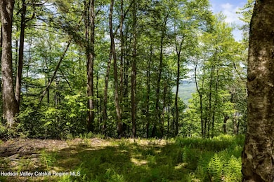 2 Red Rock Rd, Wawarsing, NY 12489 - photo 6