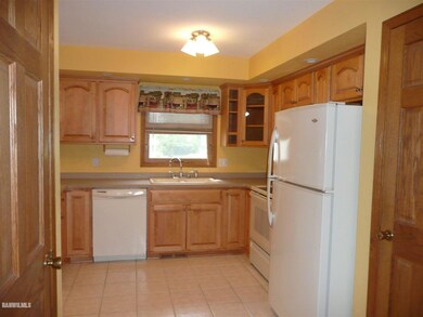 209 Shippee Rd, Lena, IL 61048 - photo 3