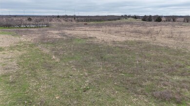 View of nature, level land with trees